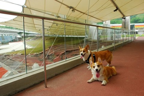 DSC_2077.JPG