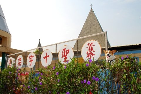 DSC_2305.JPG
