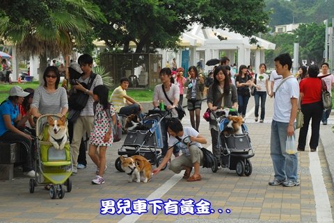 DSC_2590.JPG