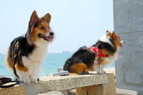 DSC_2449.JPG