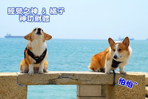 DSC_2461.JPG