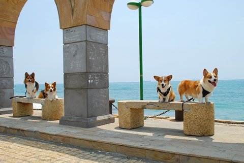 DSC_2468.JPG
