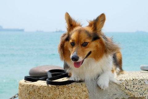DSC_2446.JPG