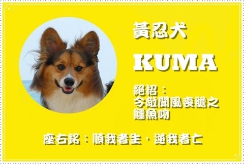 NKkuma.jpg