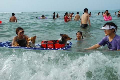 DSC_2626.JPG