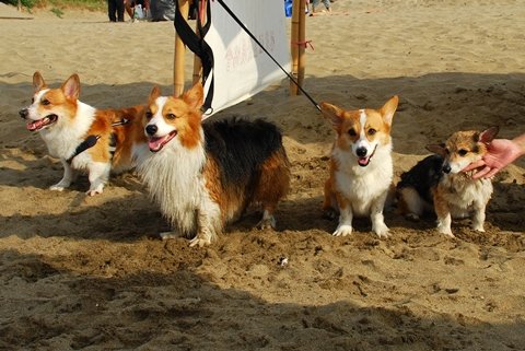 DSC_2715.JPG