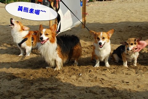 DSC_2716.JPG