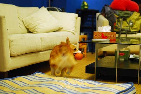 DSC_5143.JPG