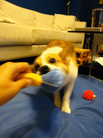 02tug.gif