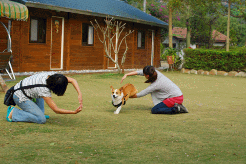 05.gif