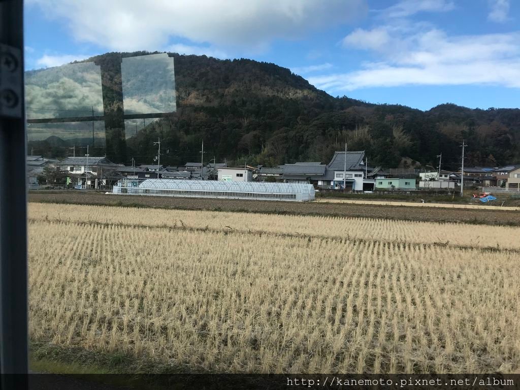 往沖島的公車