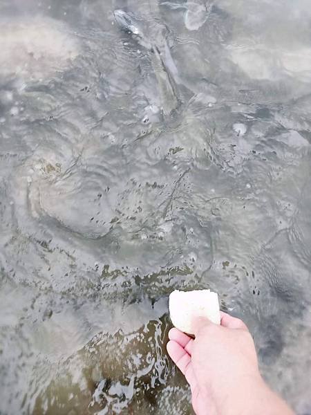 SelfieCity_20190719235237_org.jpg