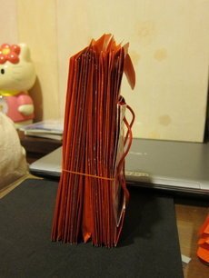 ap_F23_20110301092308633.jpg