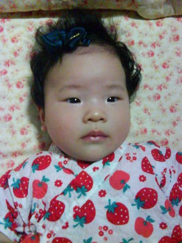 ap_F23_20110422103845250.jpg