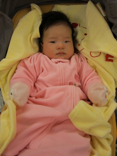 ap_F23_20110309095242463.jpg