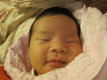 ap_F23_20110209025544137.jpg