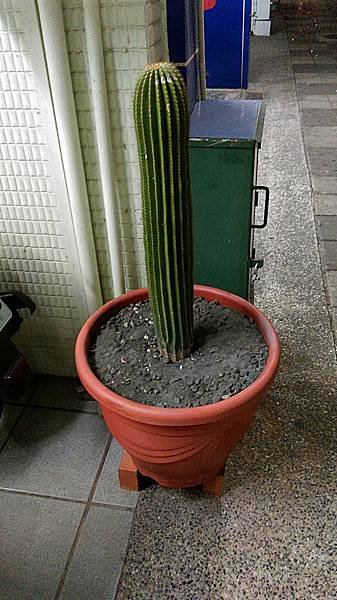 大家火鍋_170204_0026