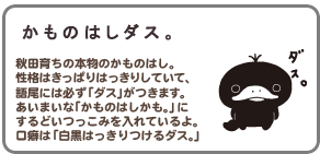 かものはしダス