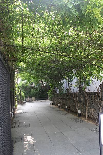 林蔭大道2