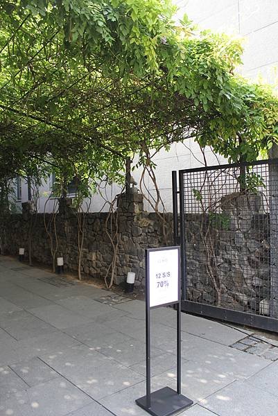 林蔭大道3