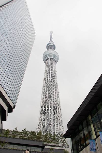 IMG_9416