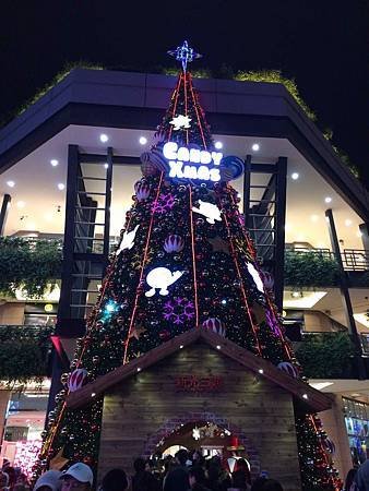 IMG_4845.jpg