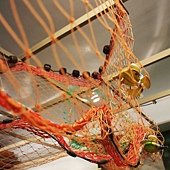 DSC09974