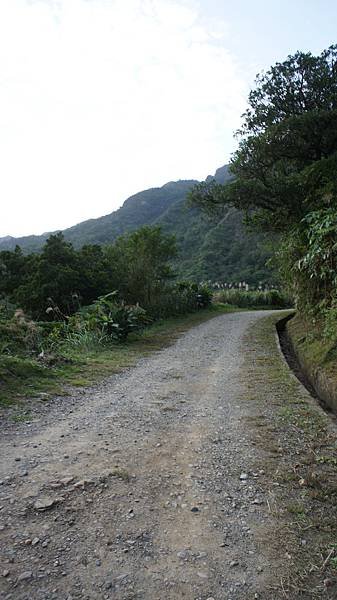 DSC05979