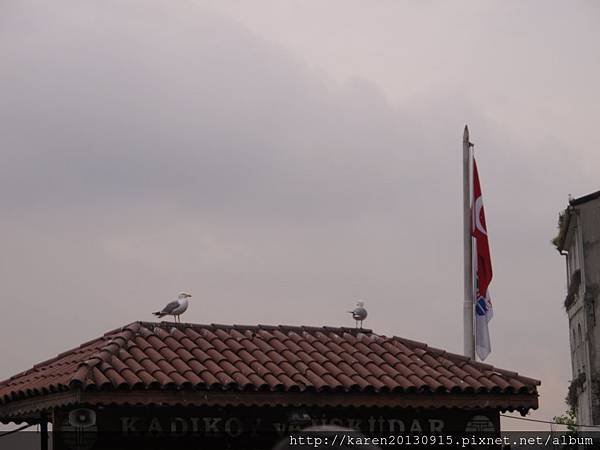 IMG_8702