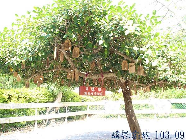 圖片9.jpg