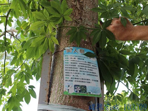 圖片10.jpg