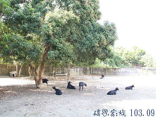 圖片13.jpg