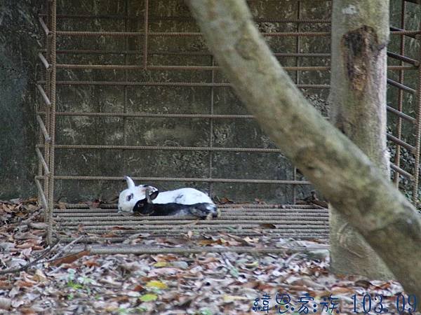 圖片14.jpg