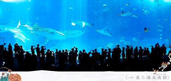 20140826美麗海全景002.jpg