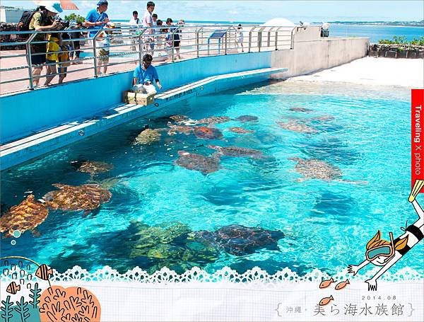 20140826美麗海036.jpg