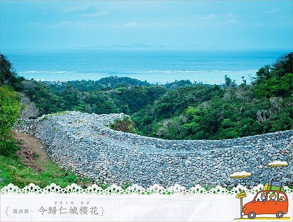 20160204今歸仁城櫻花026