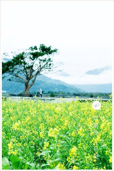 20180204池上062
