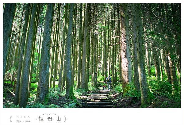 20190728祖母山026.jpg