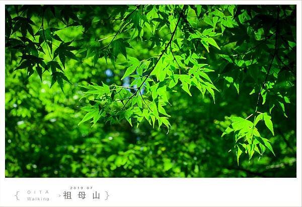 20190728祖母山077.jpg
