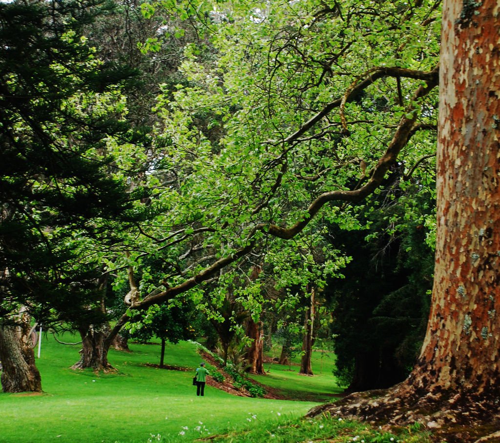 Cornwall Park