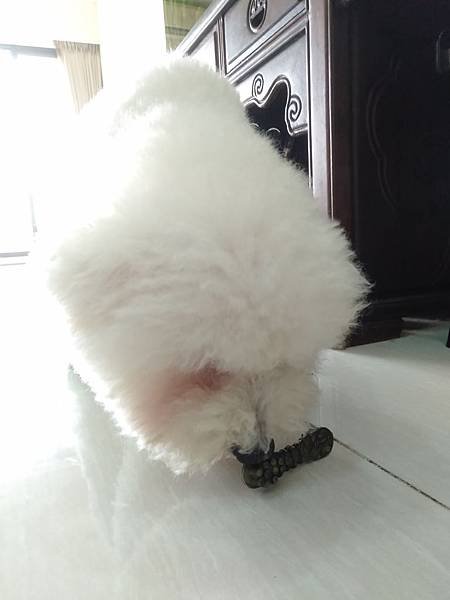 IMG20190803153638.jpg