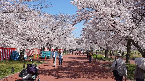 萬博紀念公園