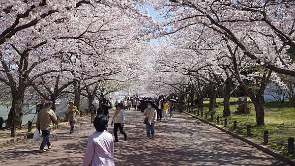 萬博紀念公園