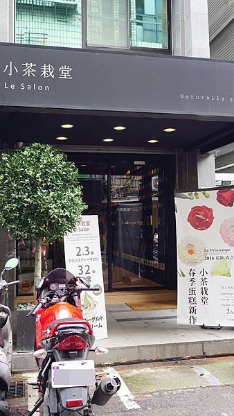 小茶栽堂