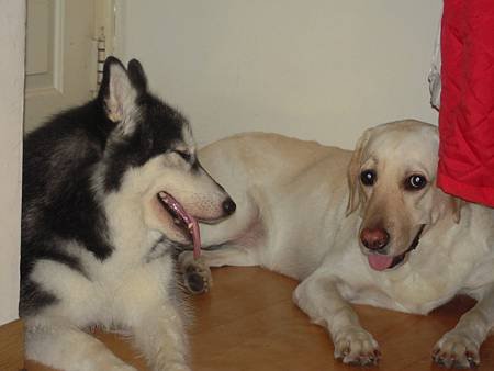 DSCN0818.JPG