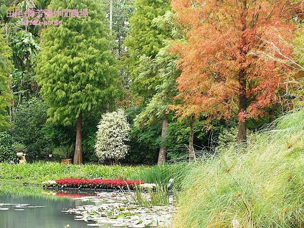 18-田尾休閒農場-菁芳園,有置身在大自然的感覺喔!!