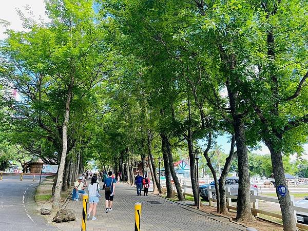 ​​【台東景點/卑南鄉】初鹿牧場-小孩能親切動物、玩耍放電好