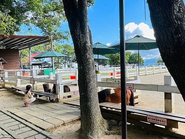 ​​【台東景點/卑南鄉】初鹿牧場-小孩能親切動物、玩耍放電好