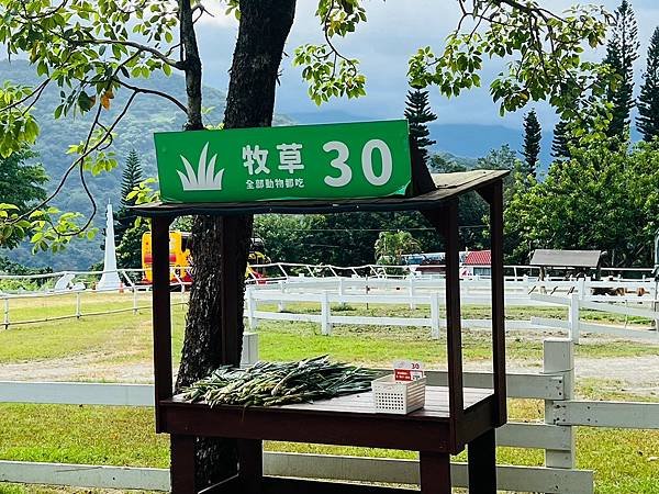 ​​【台東景點/卑南鄉】初鹿牧場-小孩能親切動物、玩耍放電好