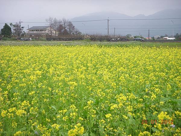 DSCN7307.JPG